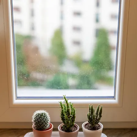 公寓 Sesto Sole - Wide 6th Floor - Near Prada-bocconi-ieo 米兰